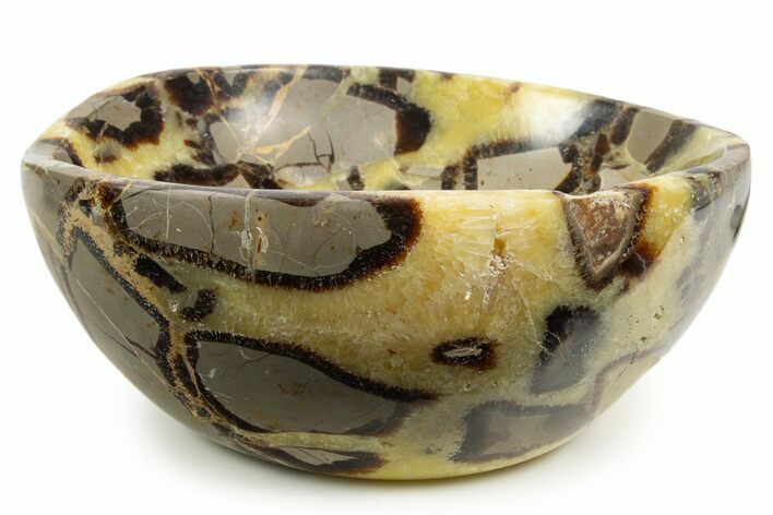 Eye-Eatching, Polished Septarian Bowl - Madagascar #342680
